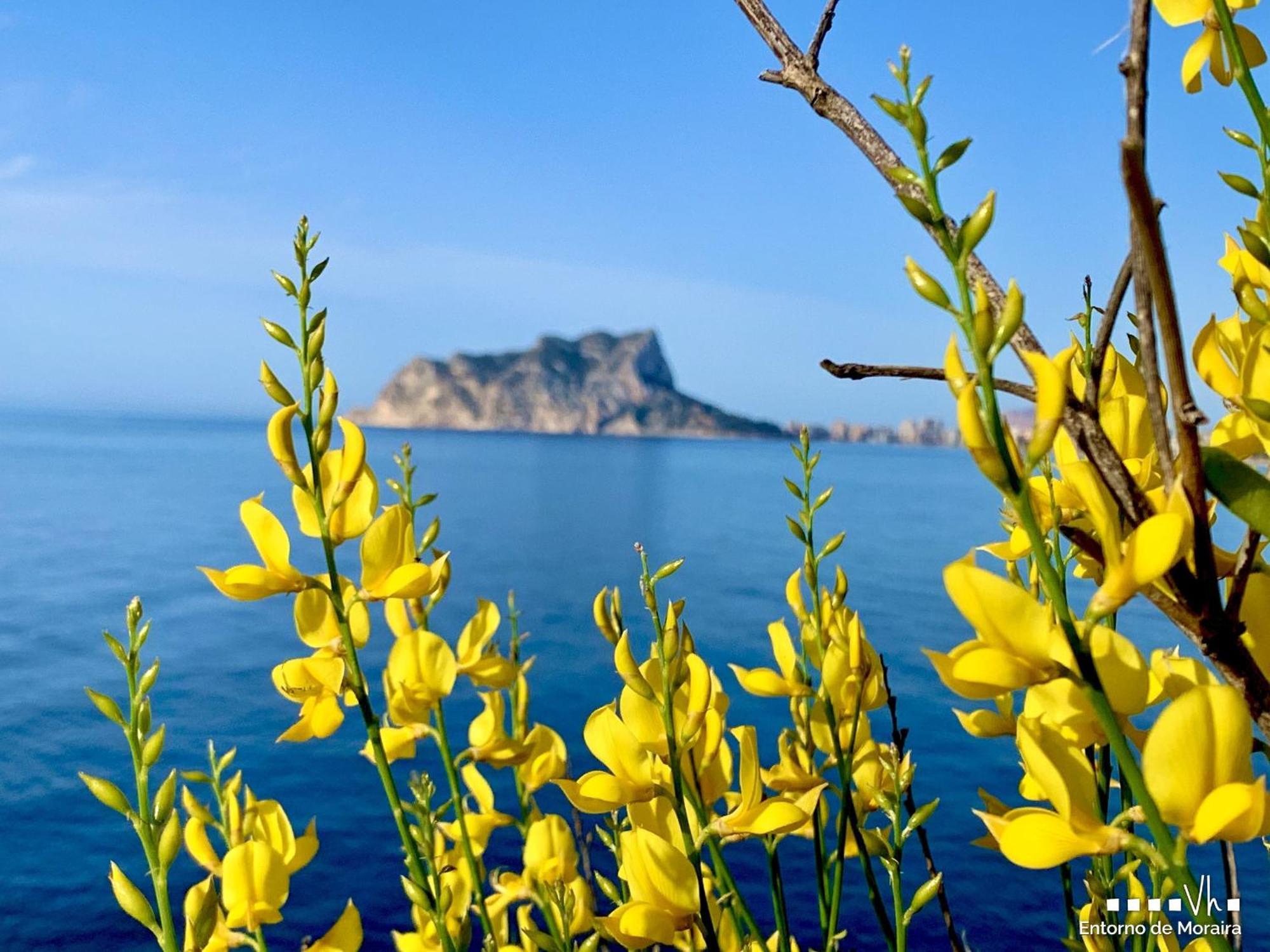 Vh Costablanca - Eva Villa กัลเป ภายนอก รูปภาพ